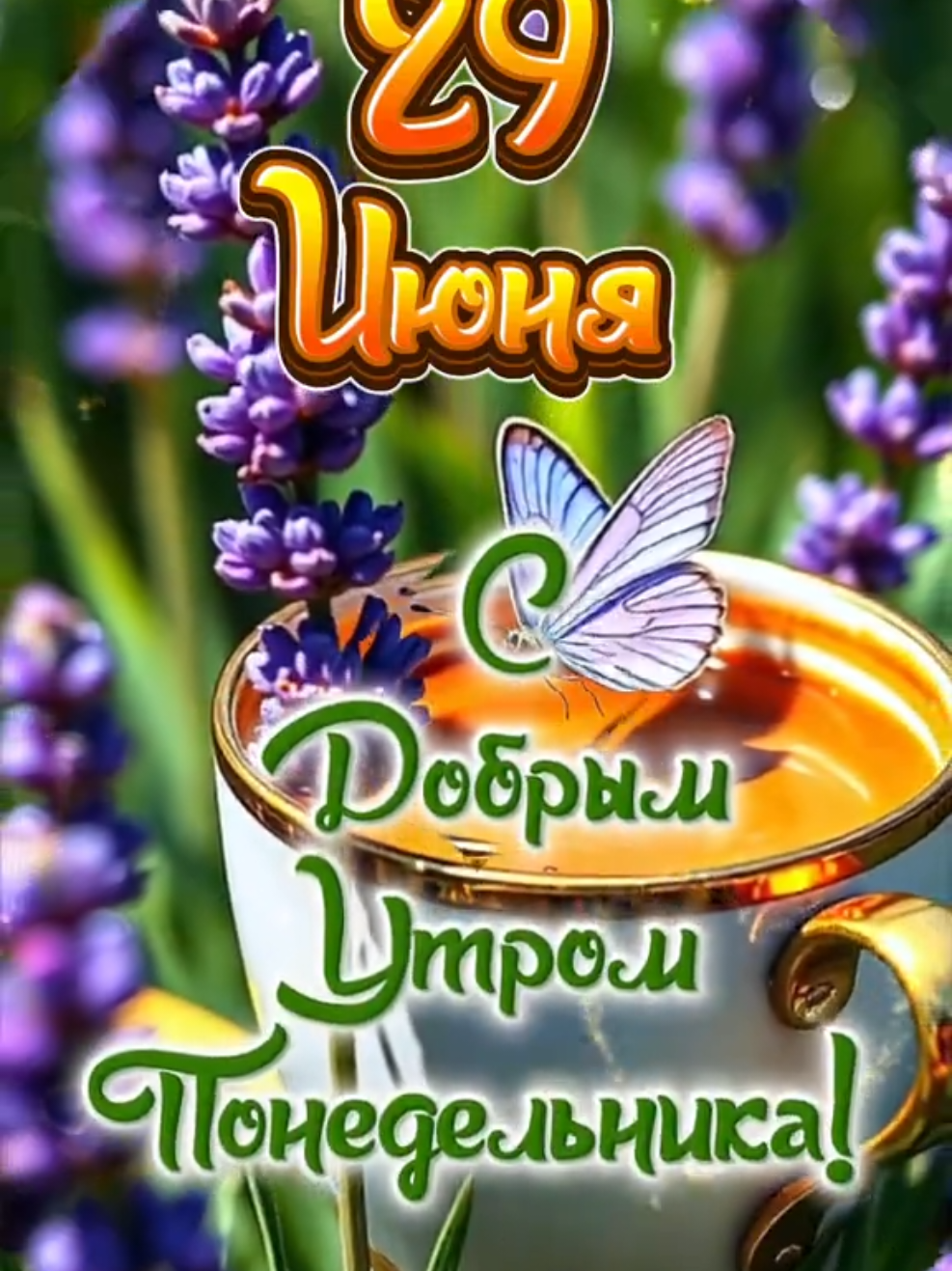 @Кхзнадин