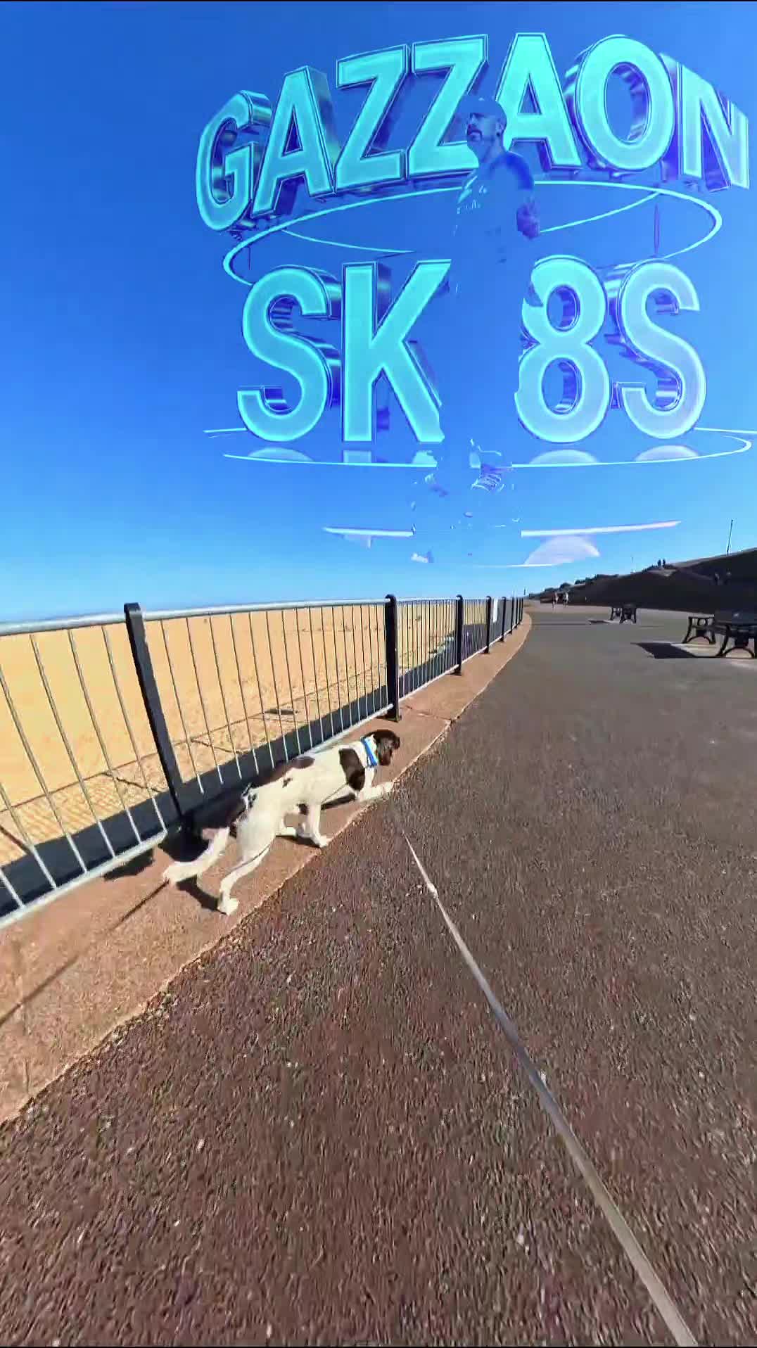 @💚🖤🛼Gazzaonsk8s⛸️🖤💚