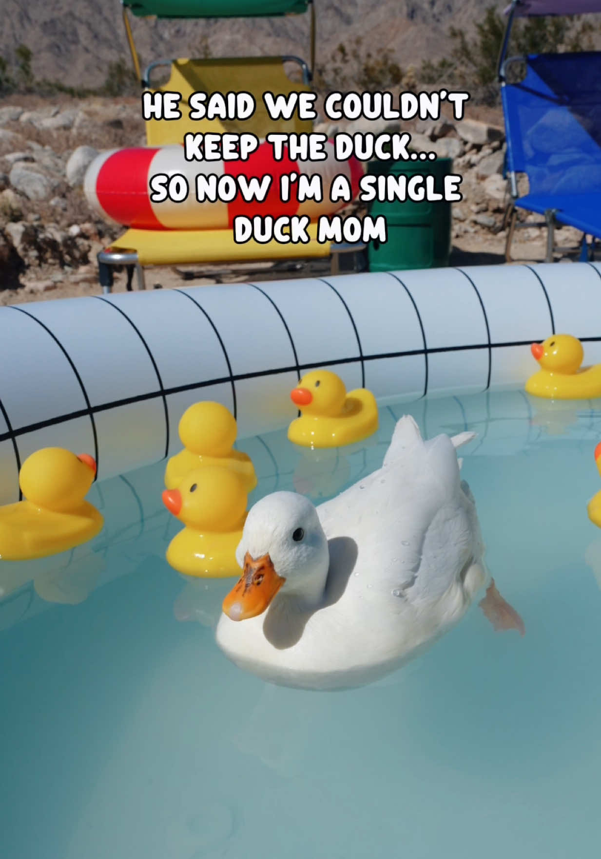 @ducks_in_space🪿🪿💦