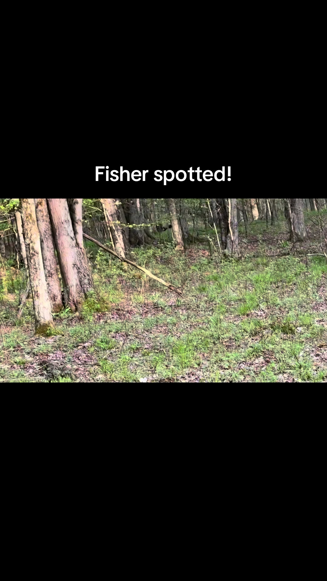 @Find A Way Outdoors