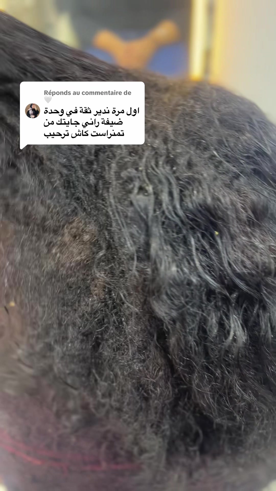 @Salon_mariposa
