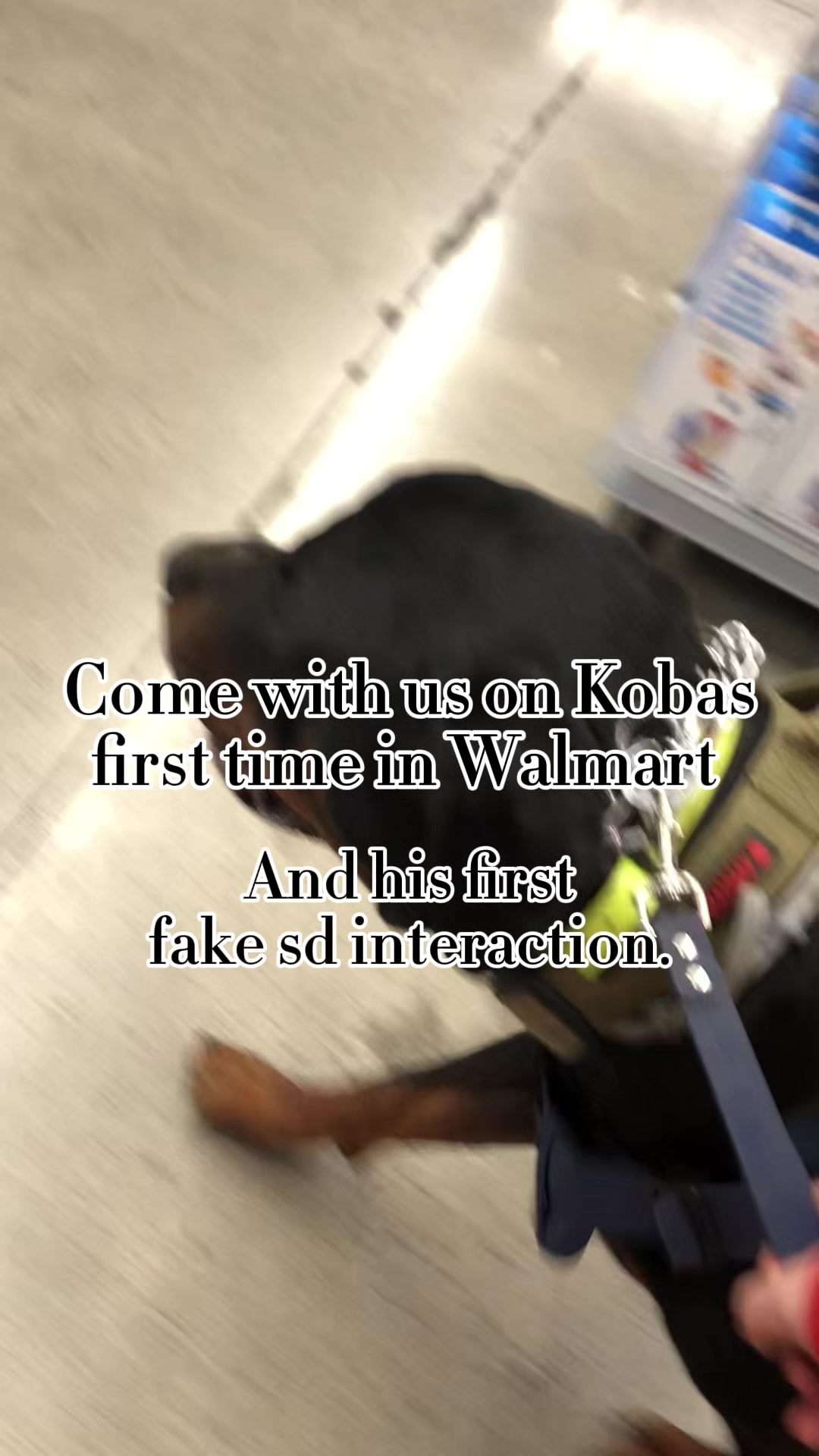 @Koba The SDiT