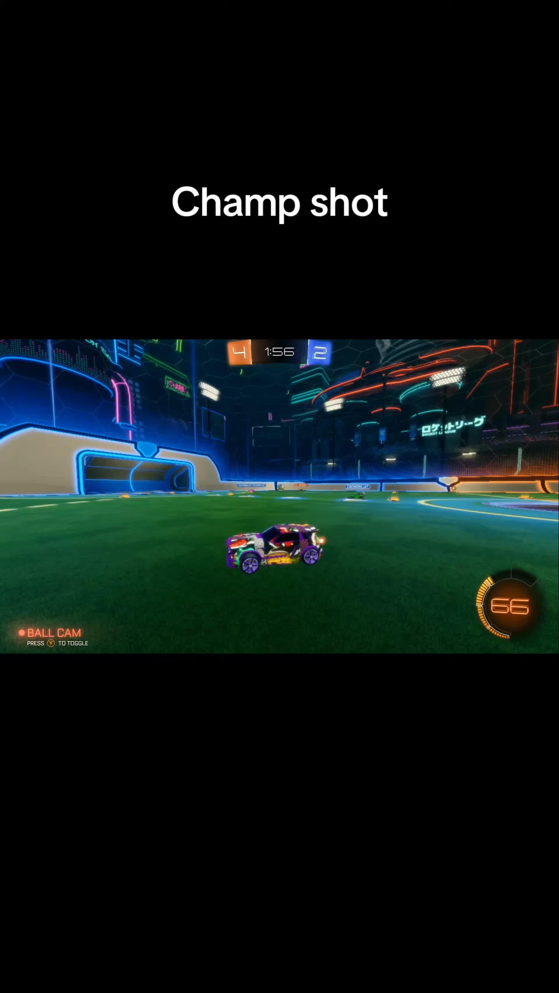 @That1BearGuy - RL