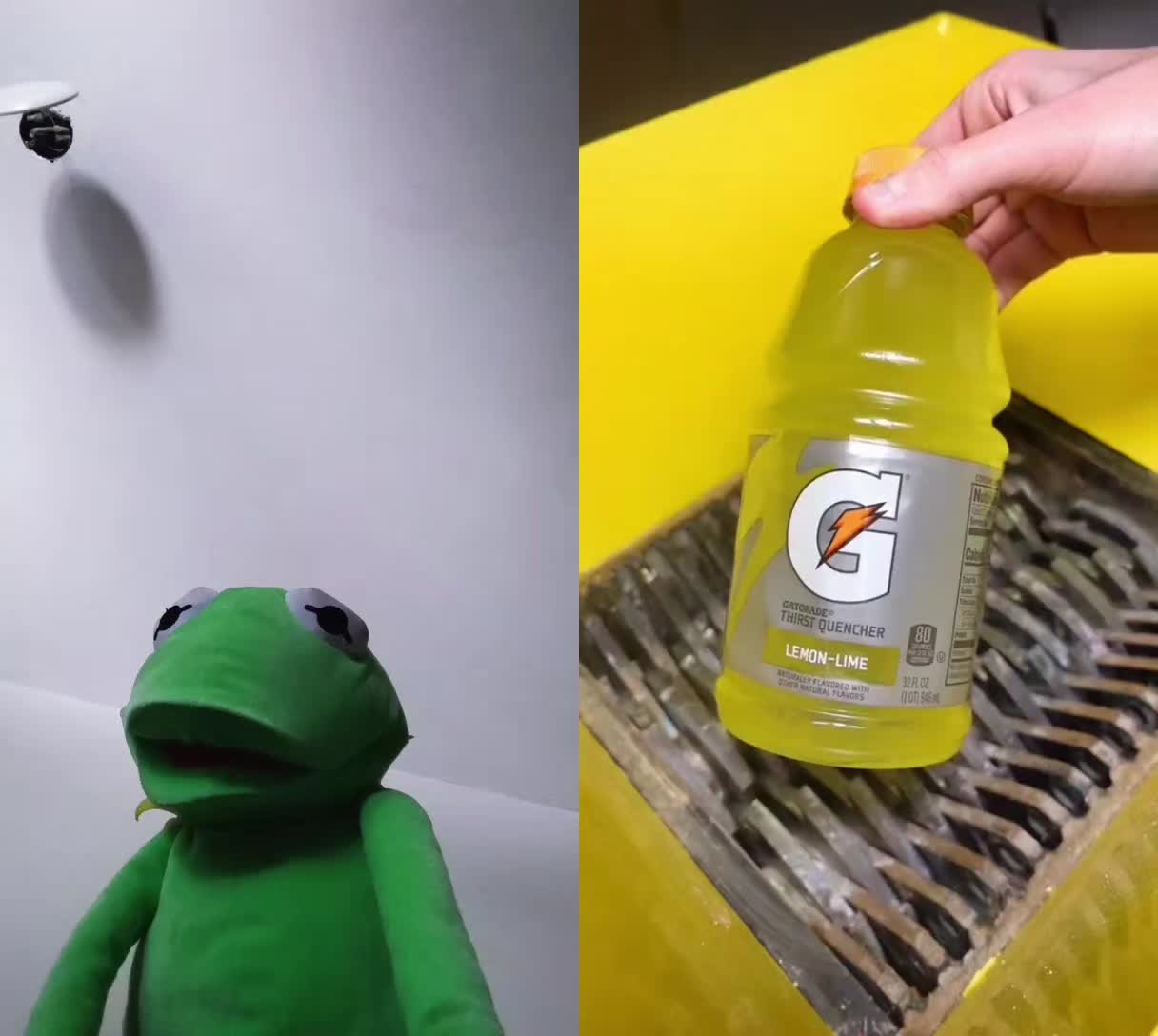 @Kermit And Friends 2026