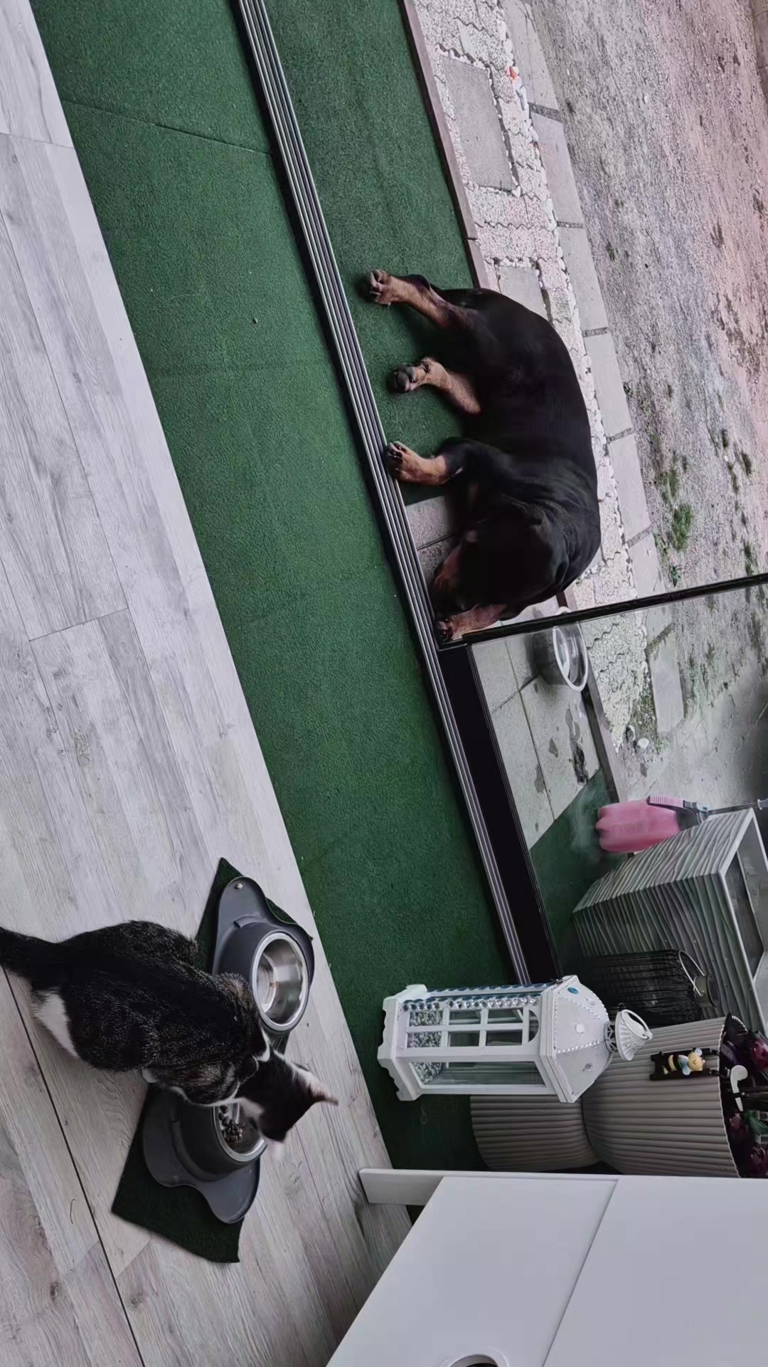 @G&uuml;lseren &Ouml;zdogan