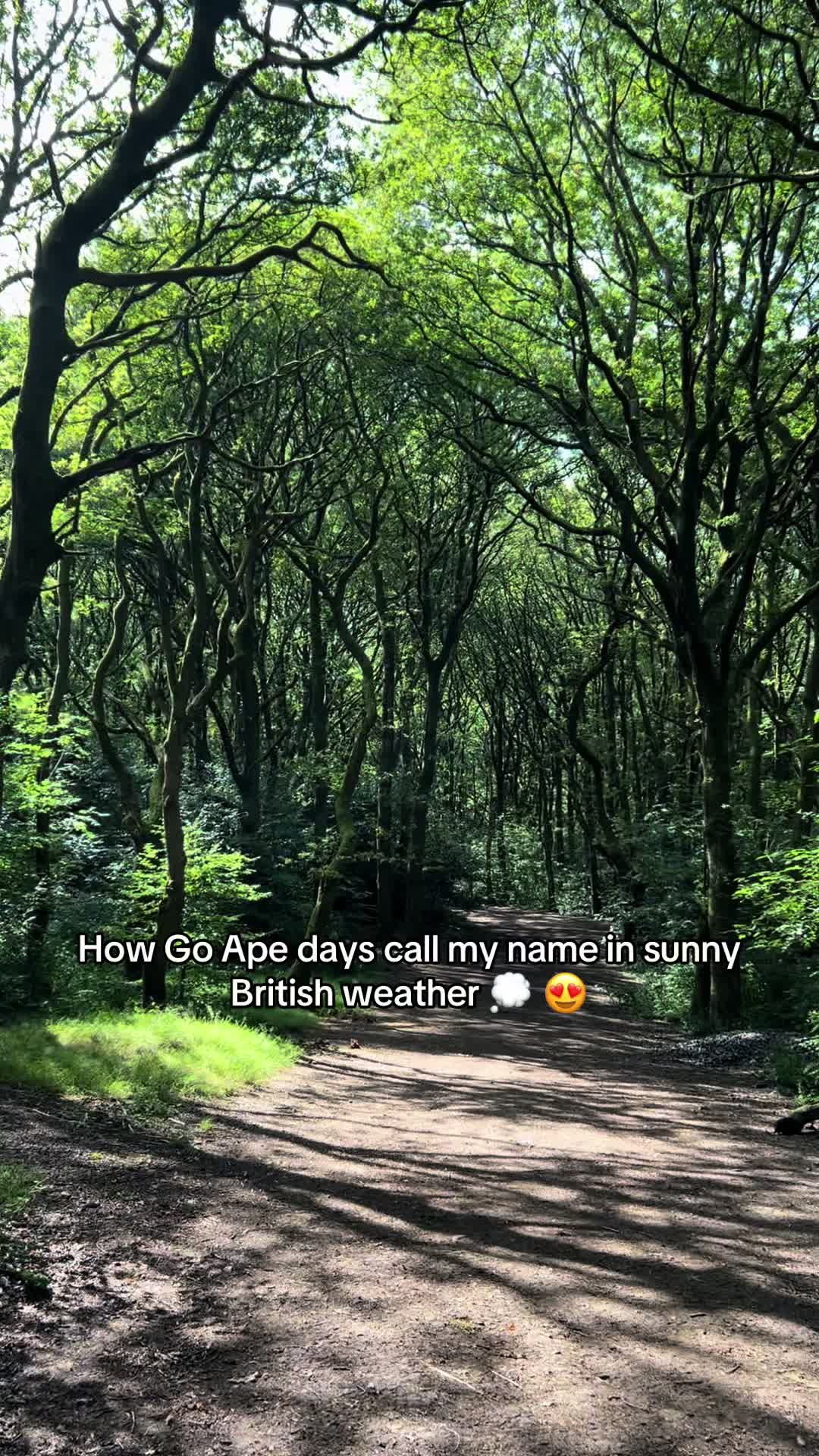 @Go Ape Rivington