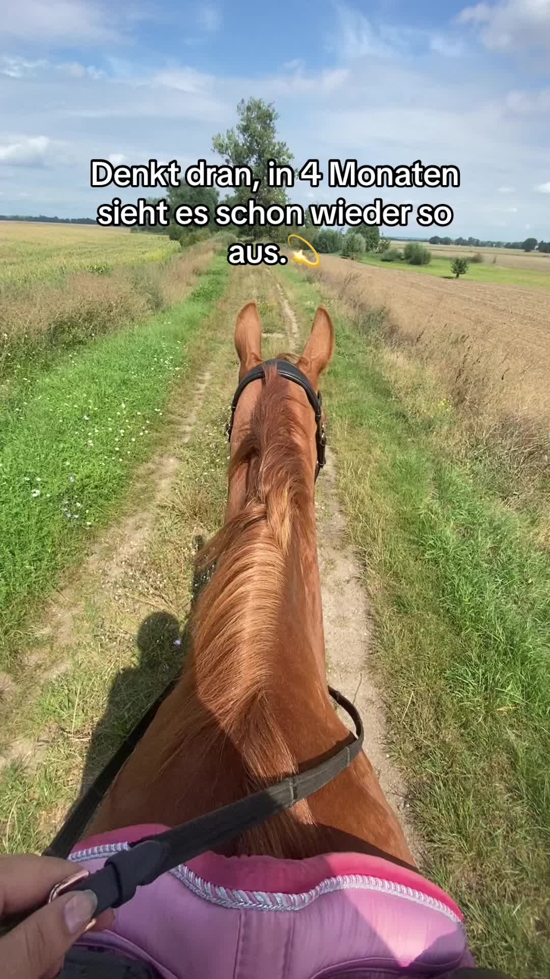 @show.jumper_speedy