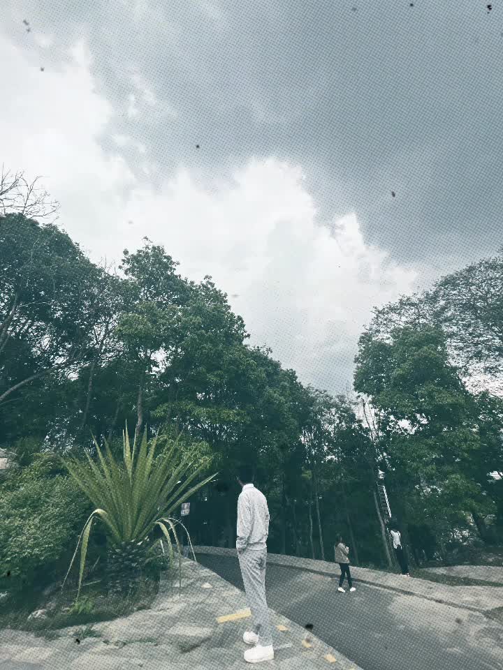 @बिपिन थापा  🕊️✨
