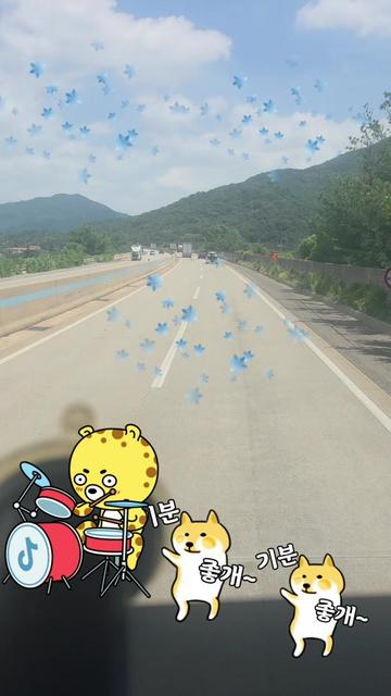 @🌺시라소니[본]🌺