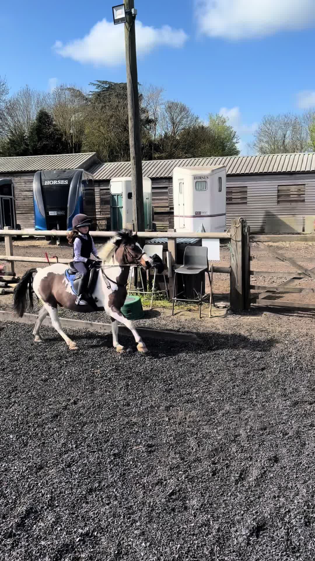 @Nina&rsquo;s Pony Adventures ❤️