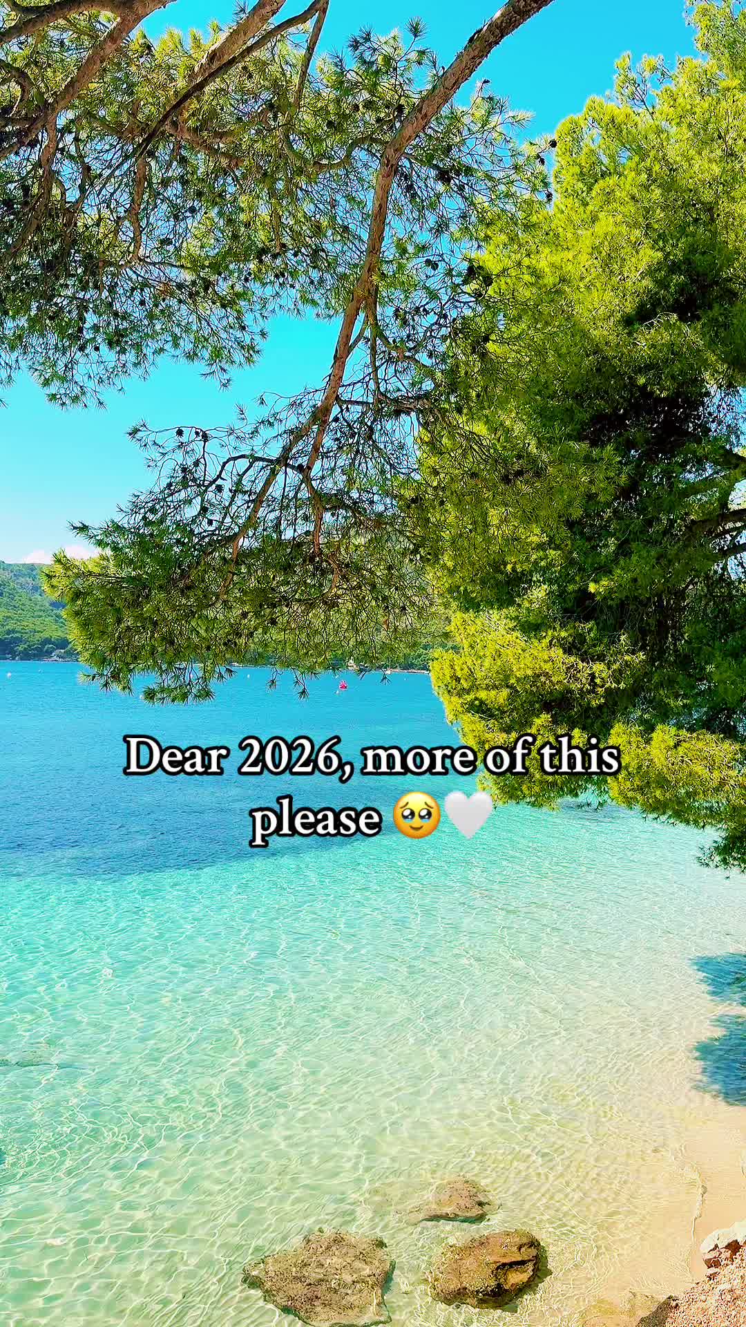 @Denisa Silvia