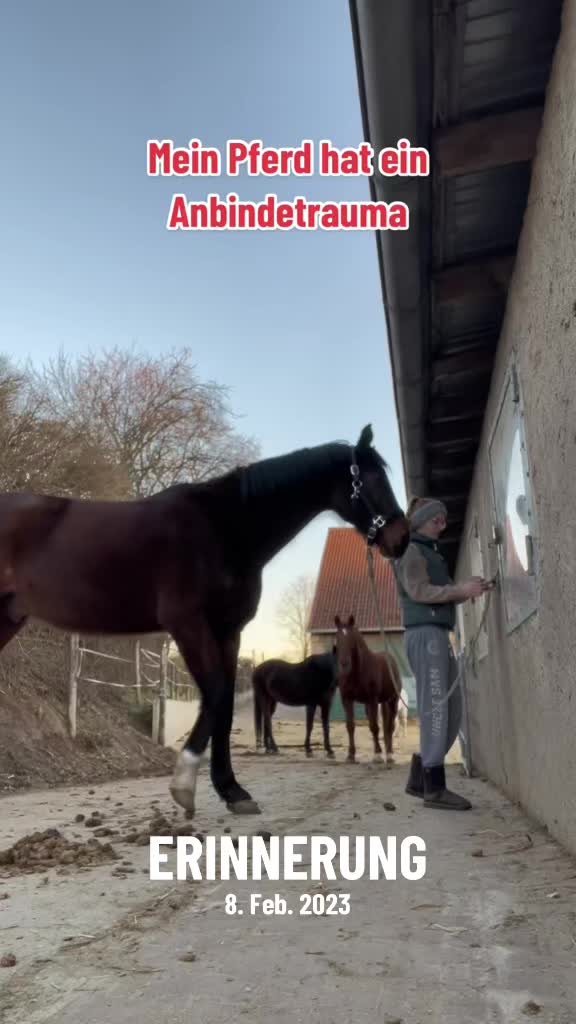 @reiterhofalteheld