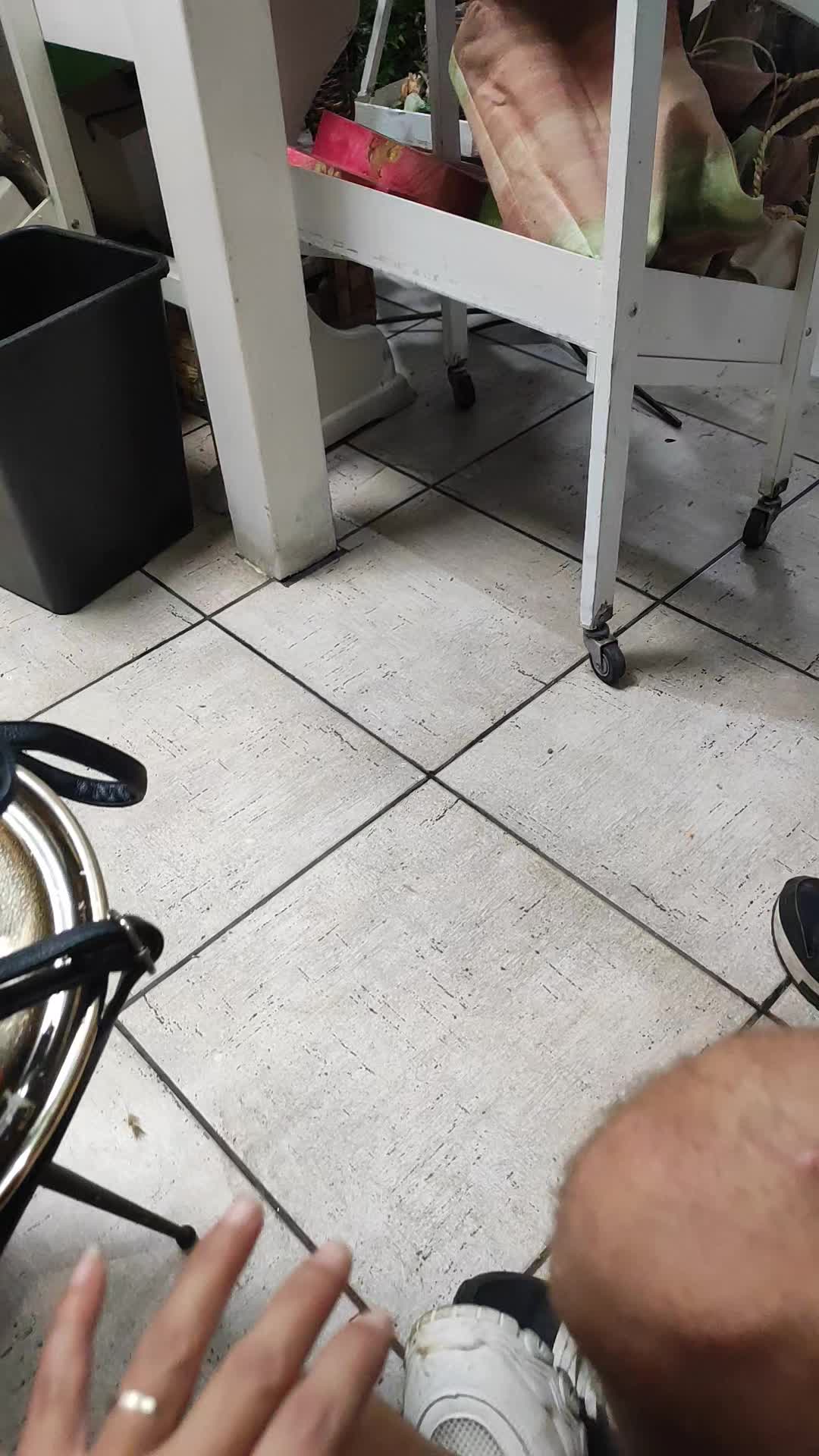 @Daniela Pollicino