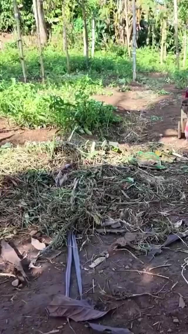 @Jaycoded7