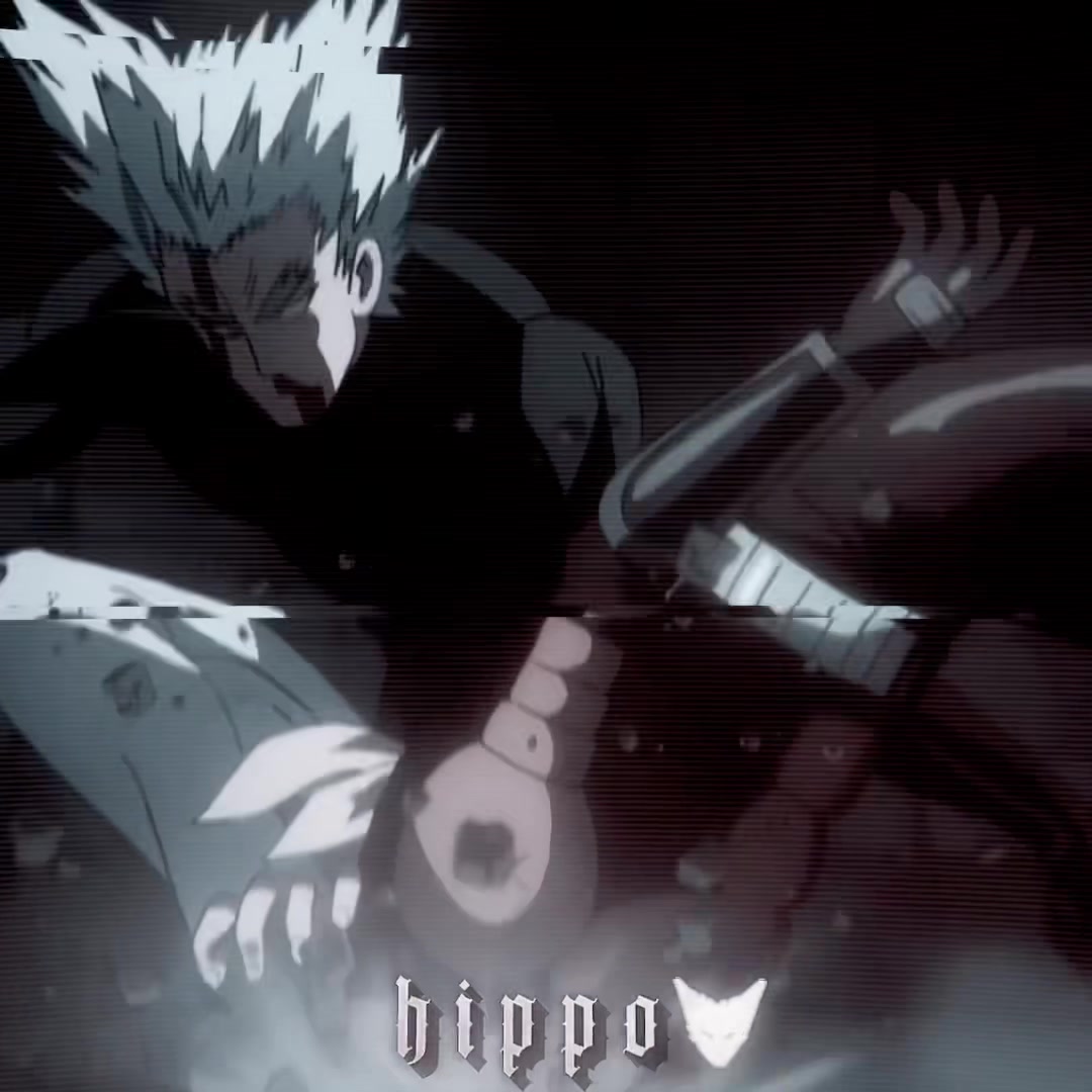 @hippo
