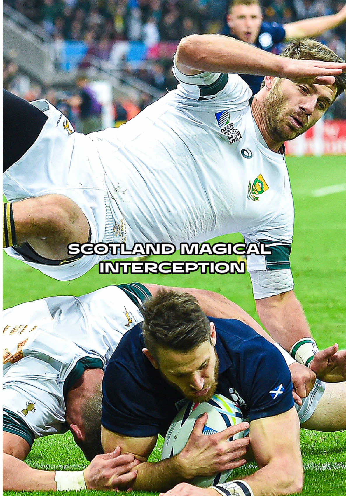 @Rugby World Cup