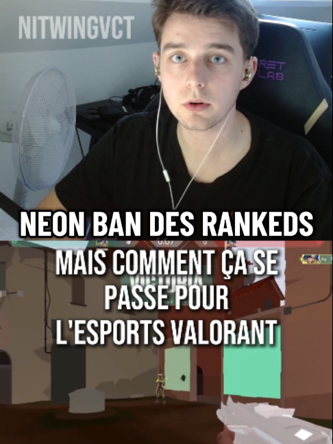 @nitwingVCT
