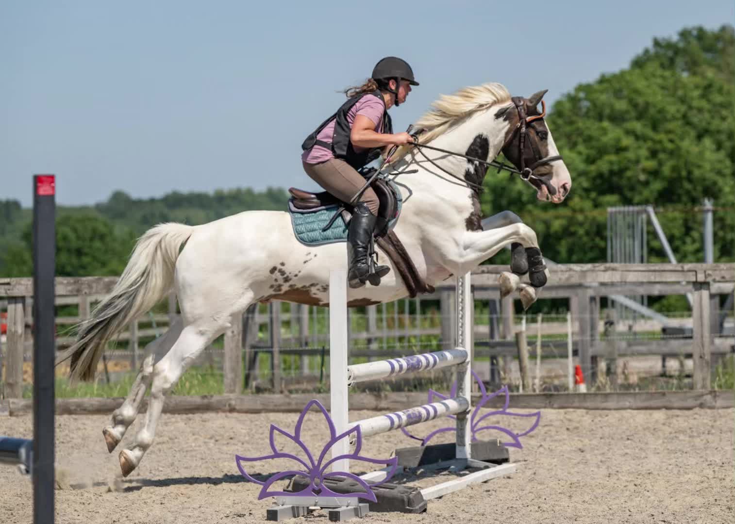 @equinectar