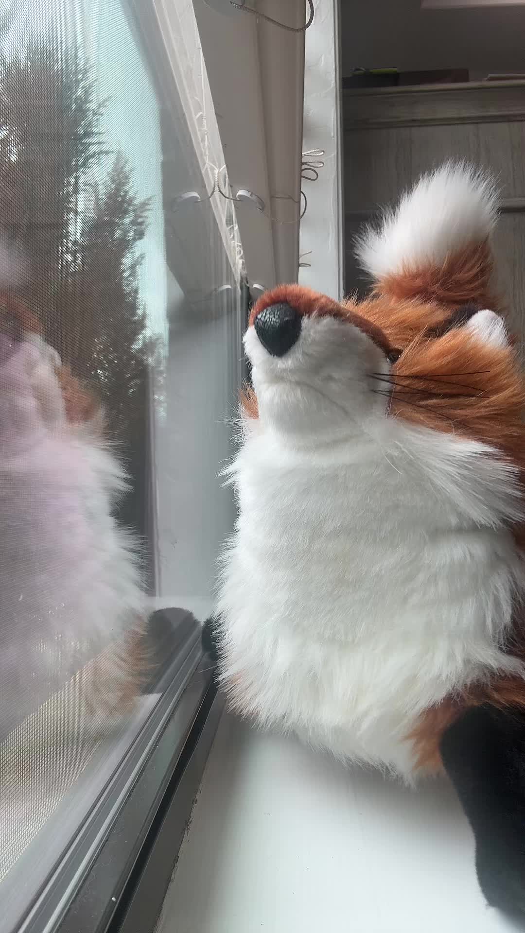 @rabbitdaisymae