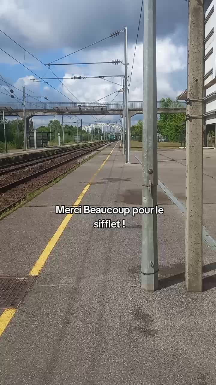 @Amyz 🛤