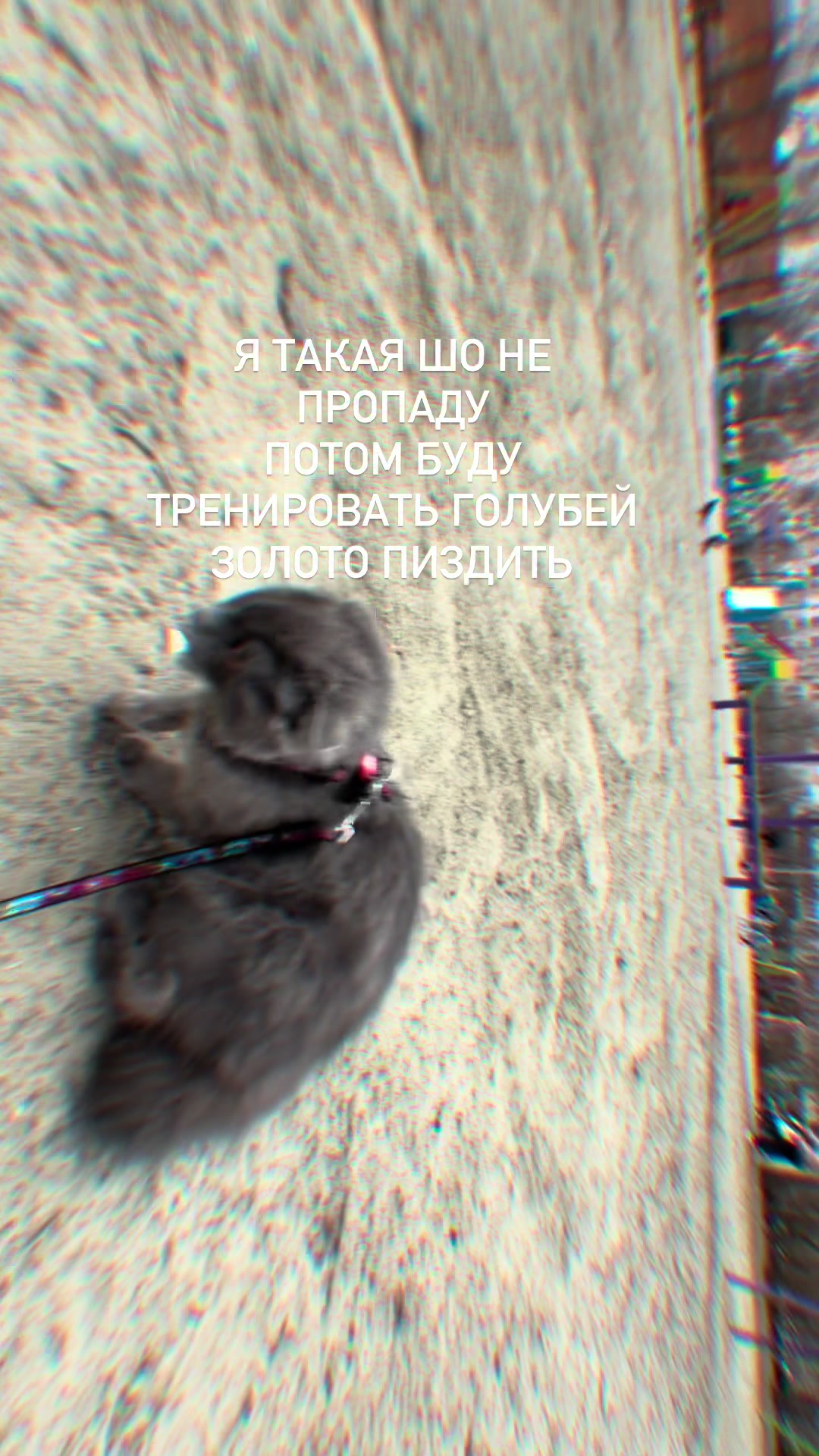 @Сомелье Kharkova