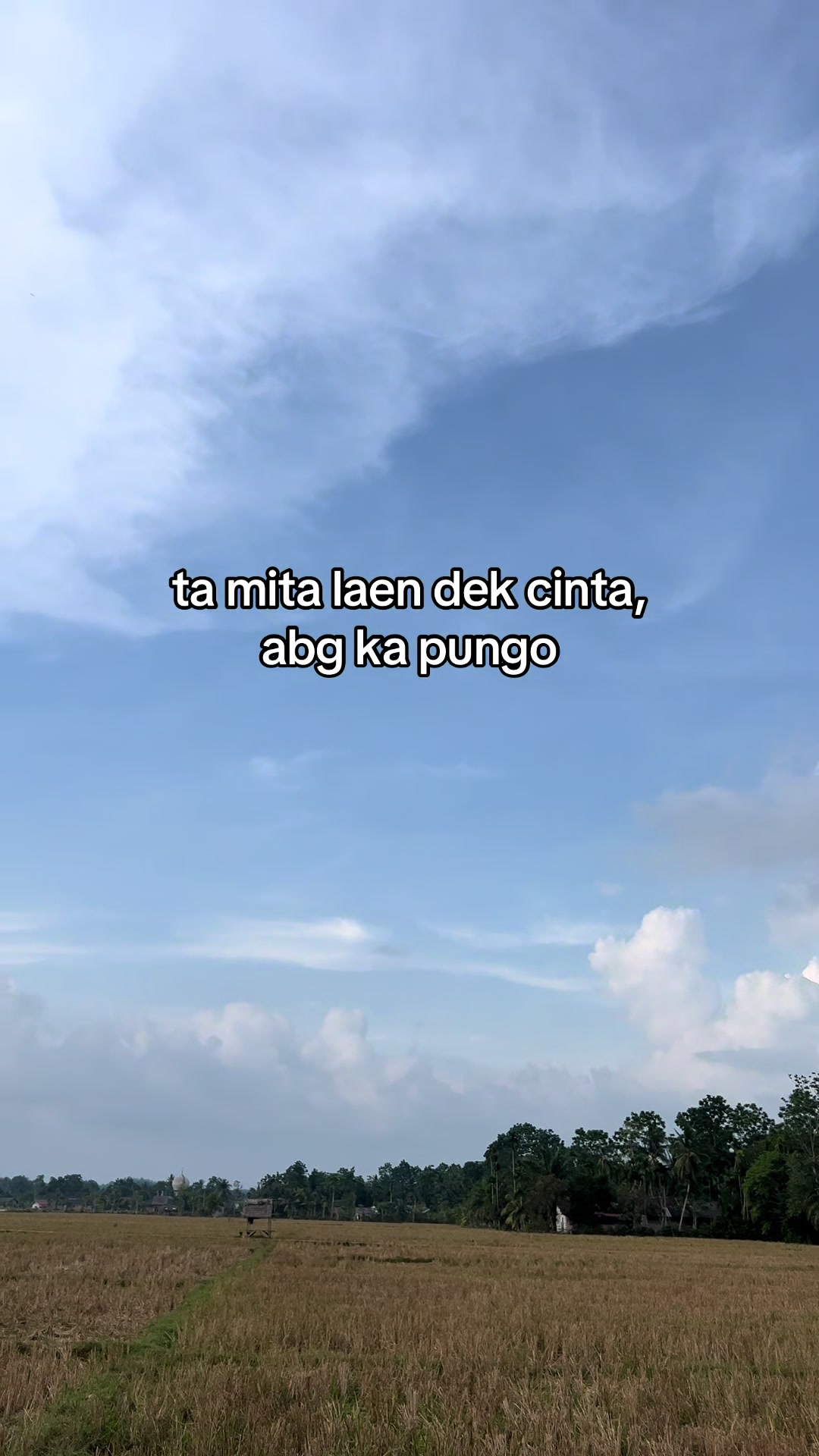@Airul