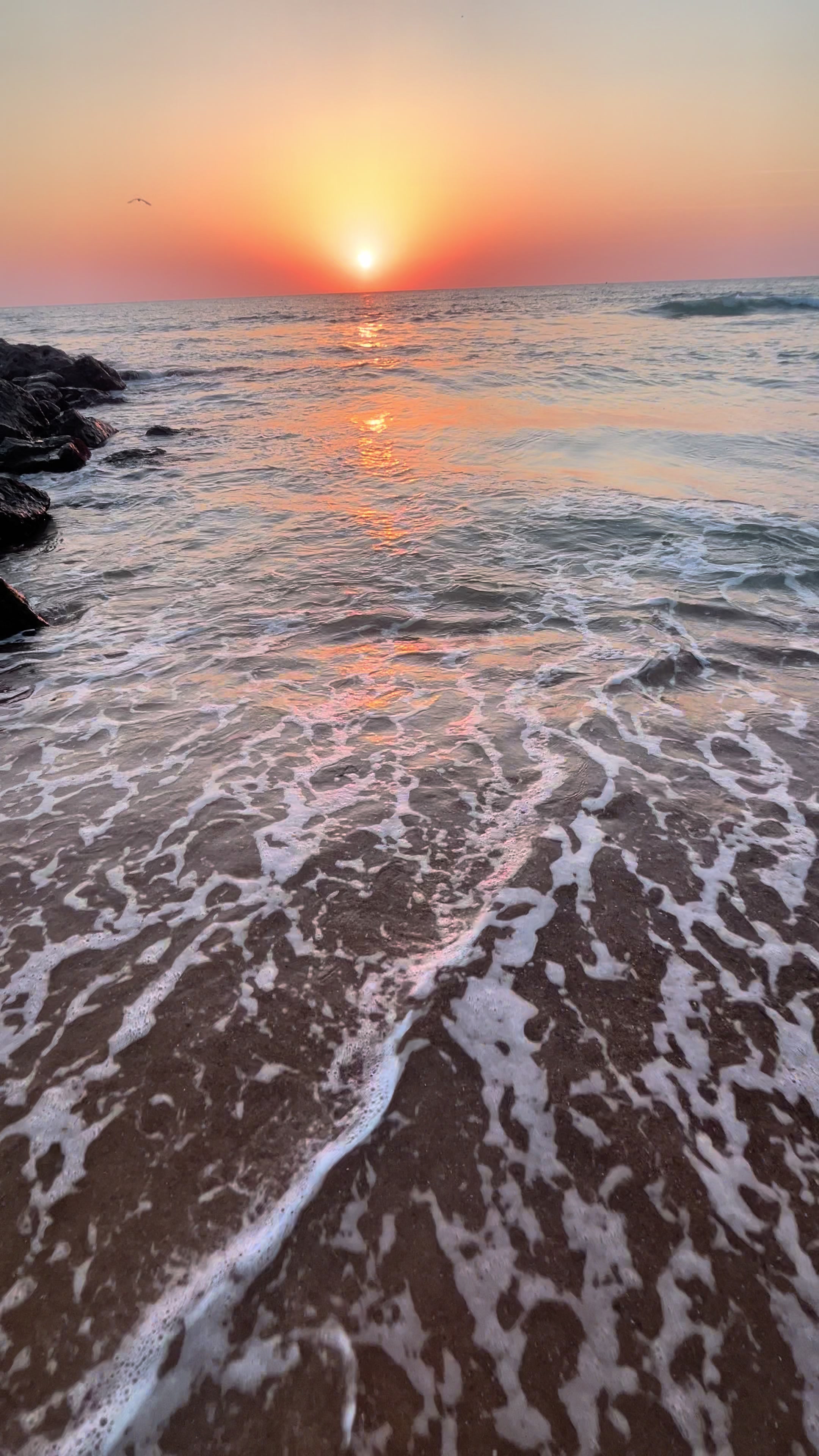@𝐡𝐞𝐥𝐲𝐧𝐚✞🌺