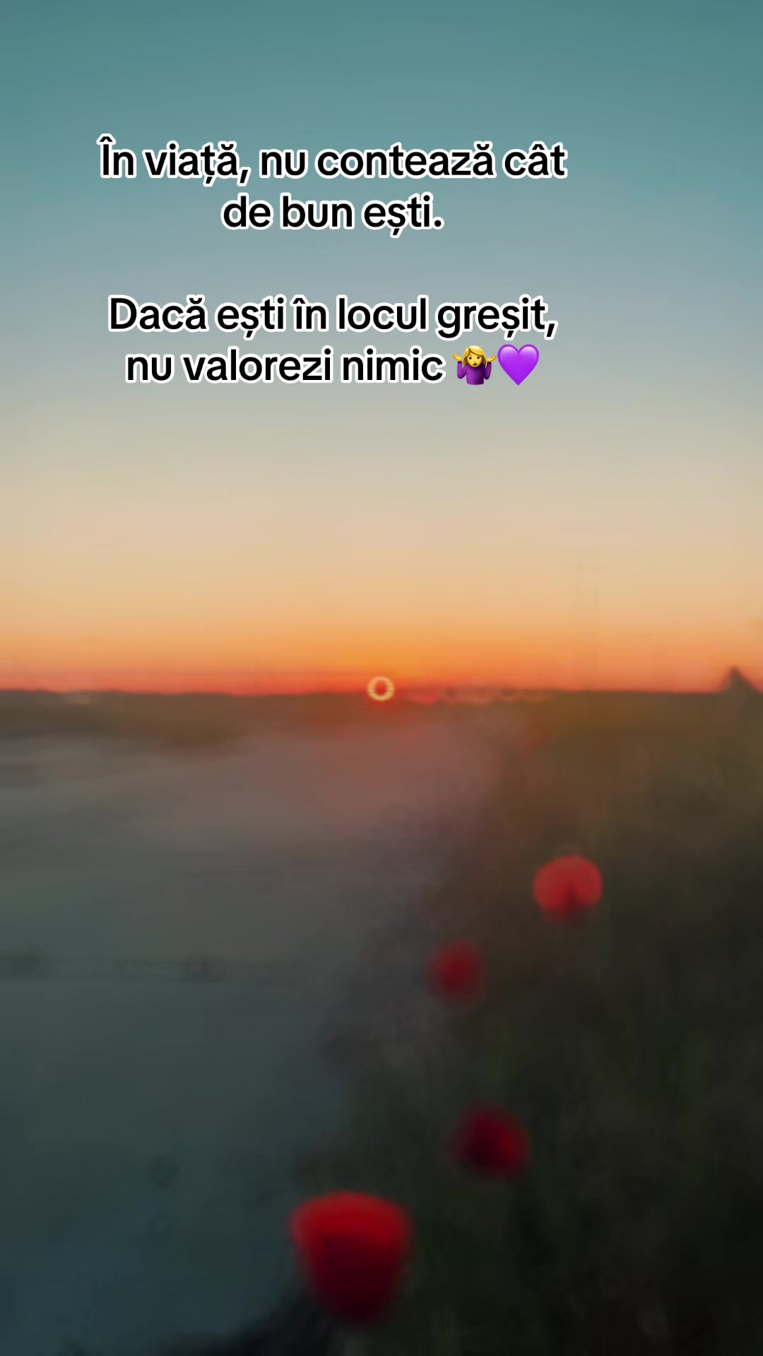 @Annemarie 💜