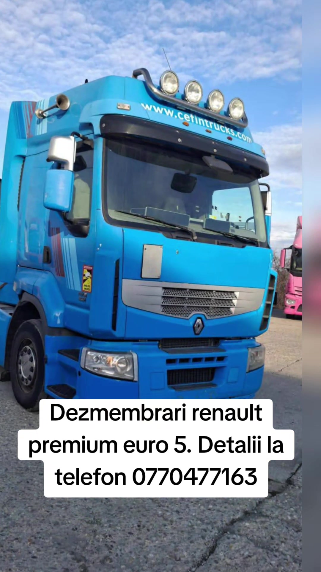 @Cătălina 👑
