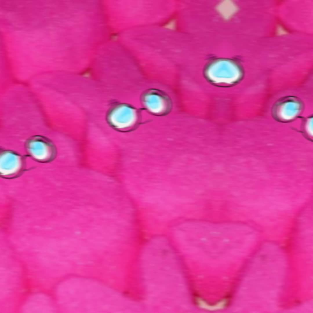@🩵𝗖𝗵𝗼𝗰𝗼(◕‿◕)🦄🧁