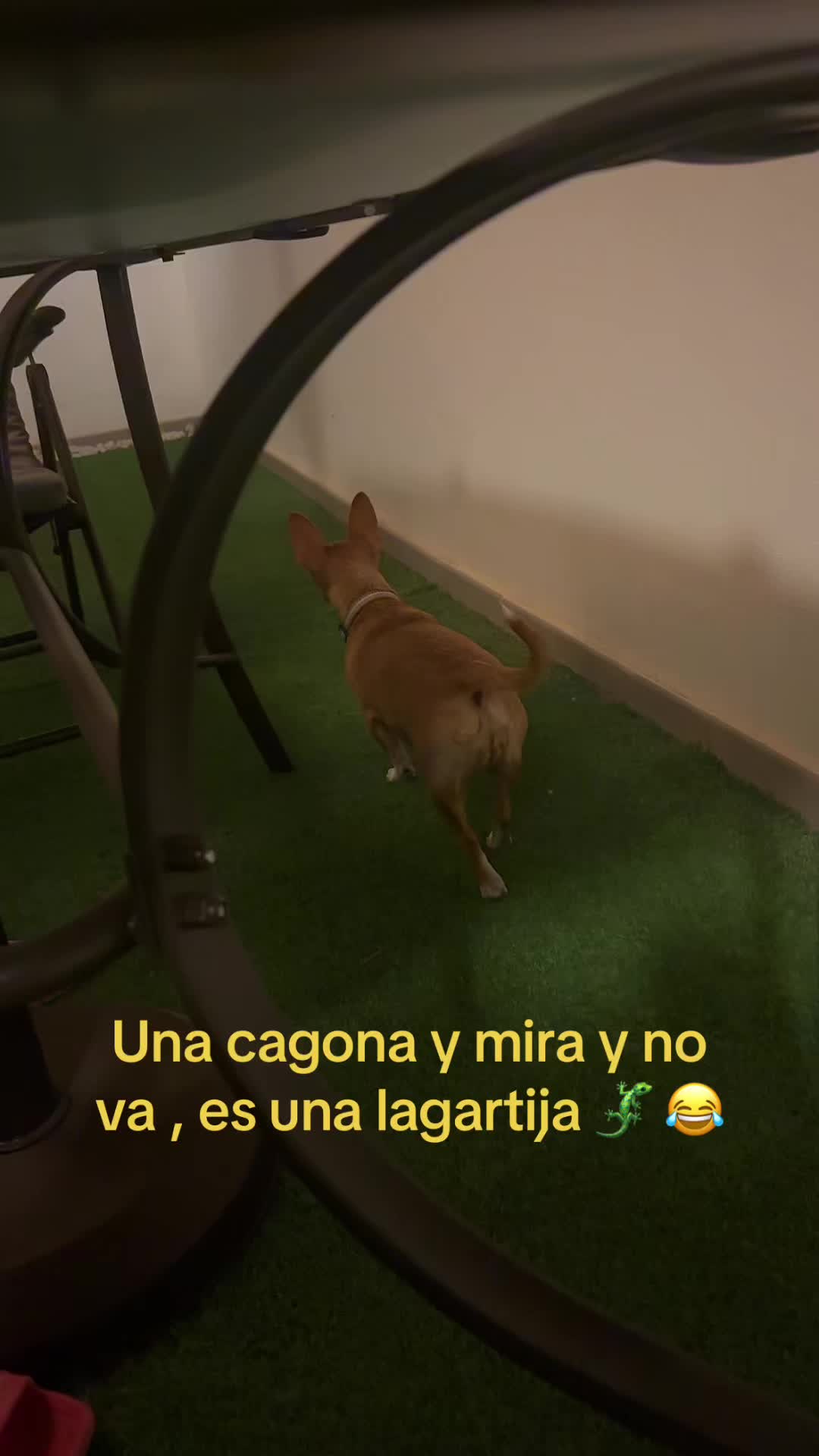 @meinata