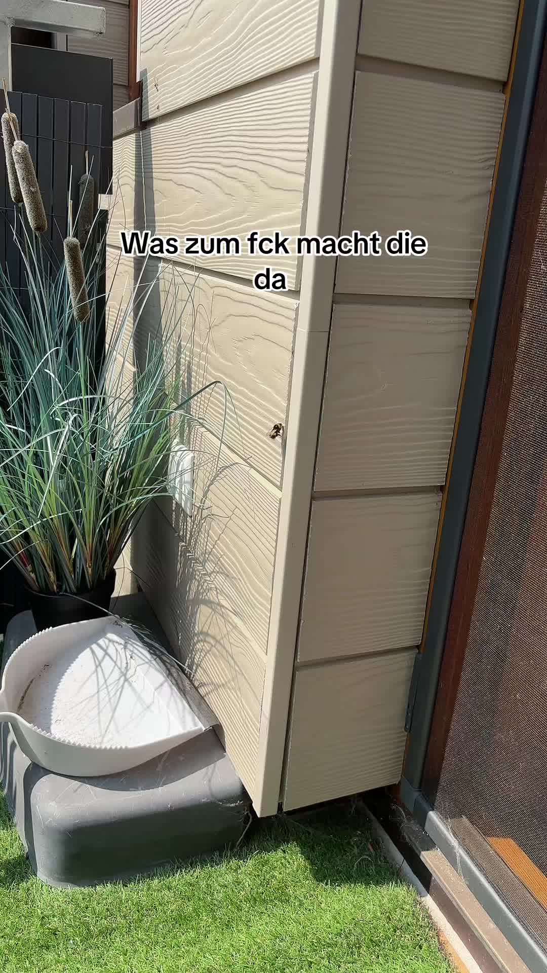 @L