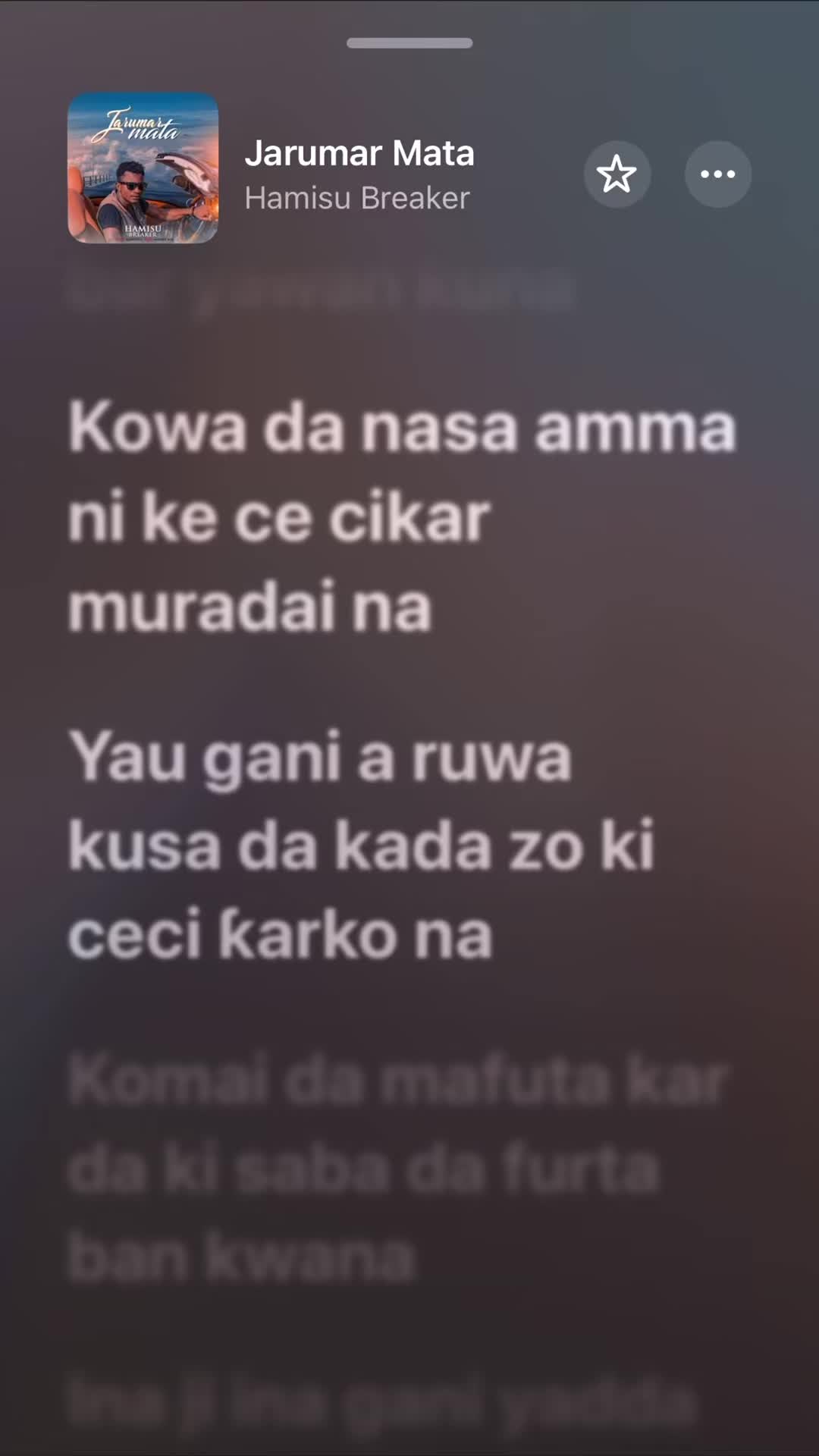 @Madubin Hausa