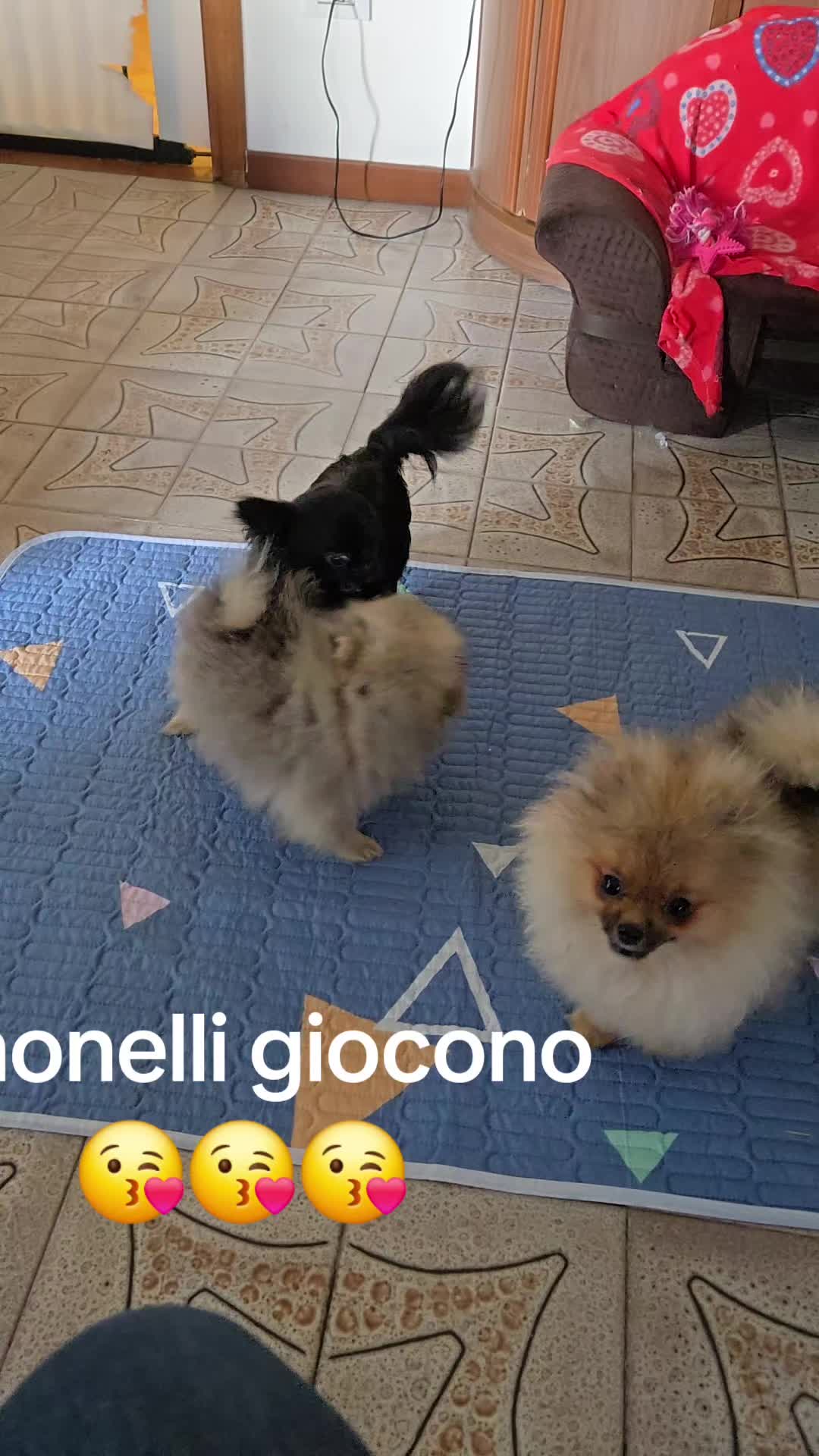 @Elena Paganelli