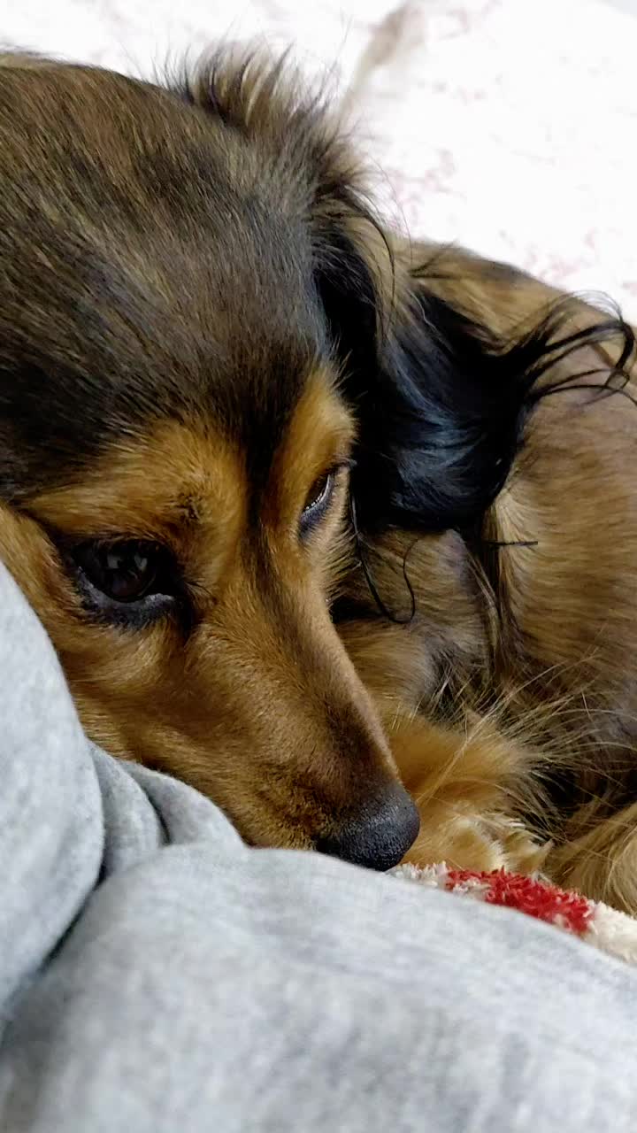 @Elisa🐶Ronda