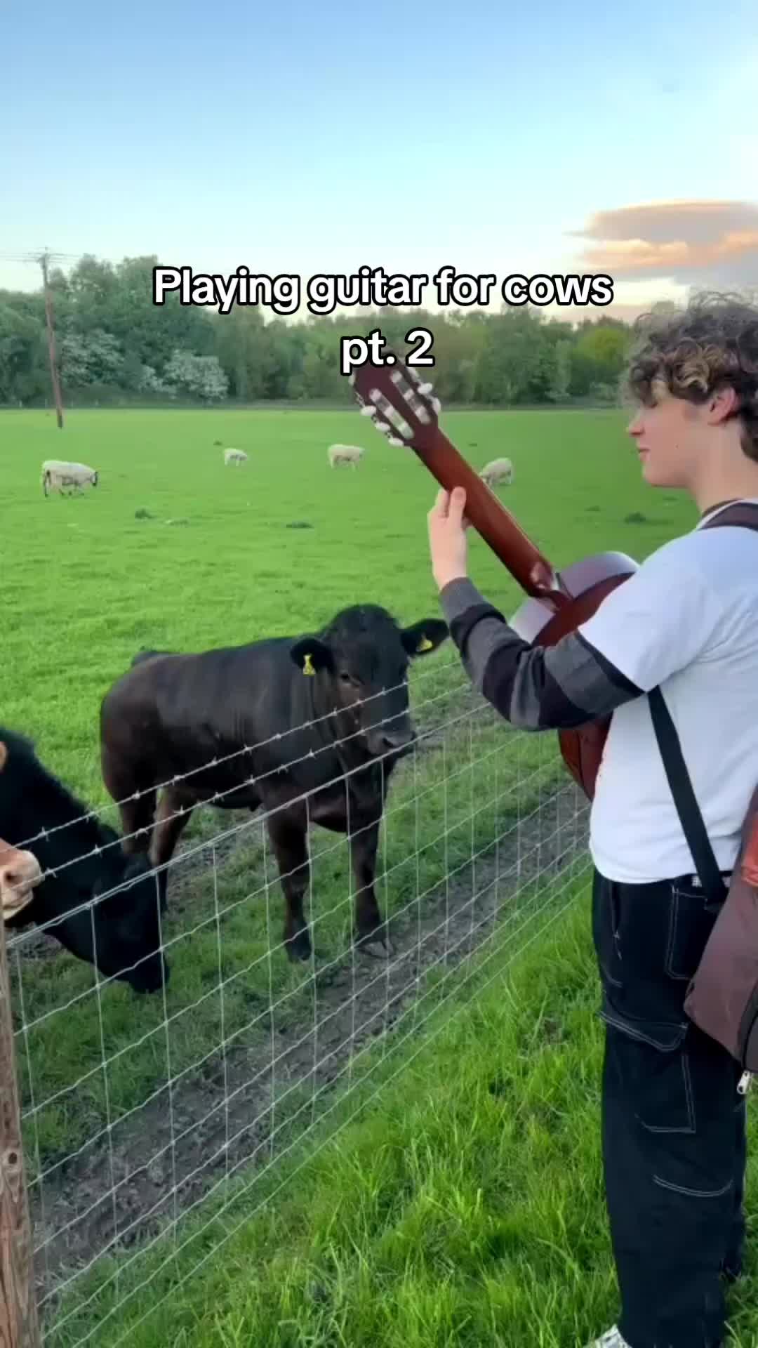 @matfiew