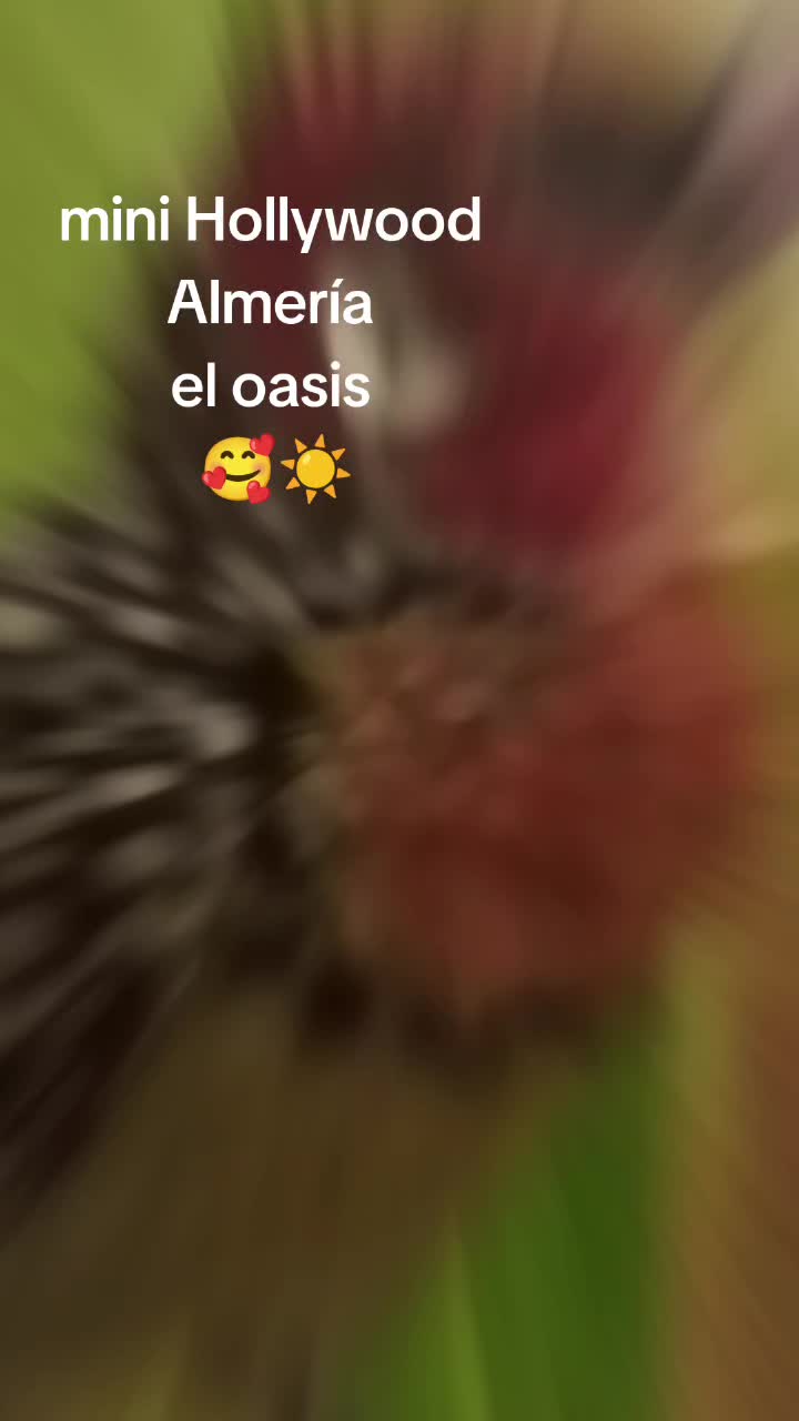 @paulette😘🥰🌈