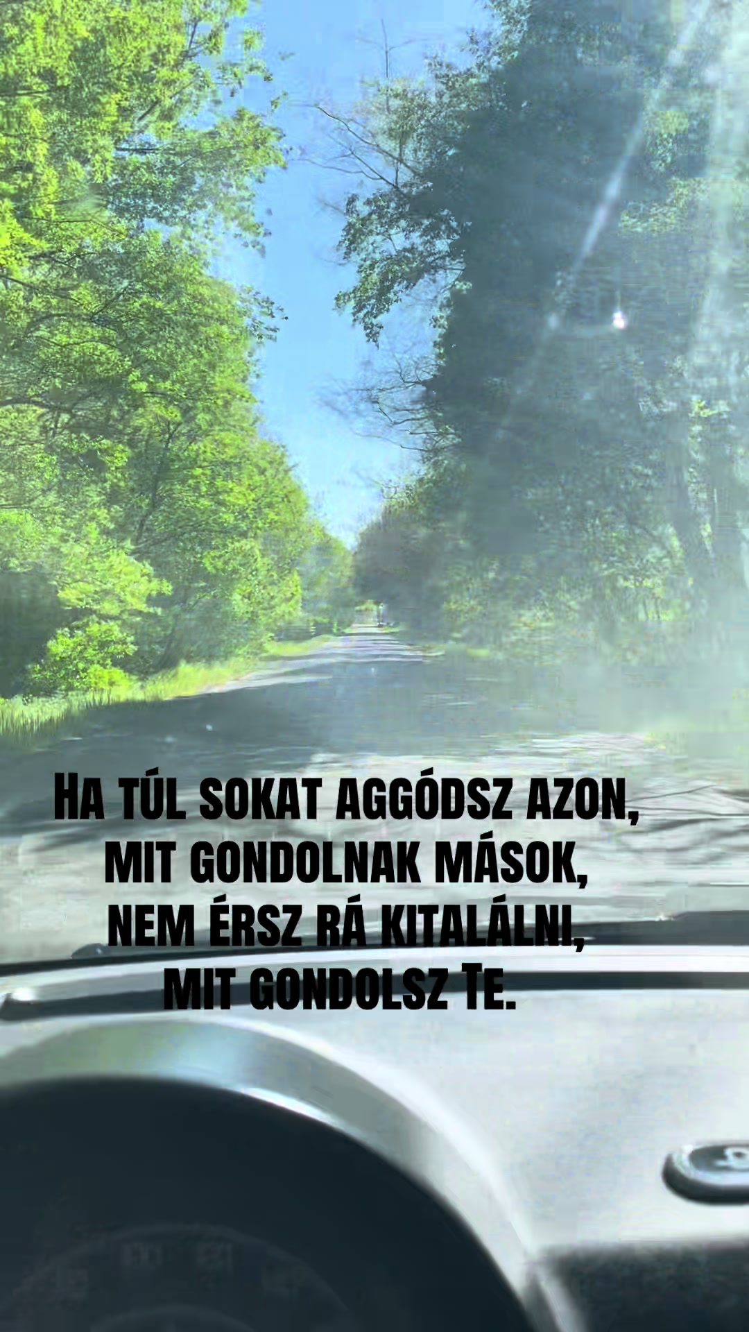 @A.n.i.k.o.21