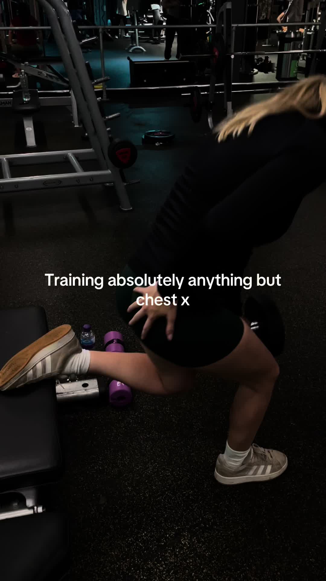 @sanchbulks