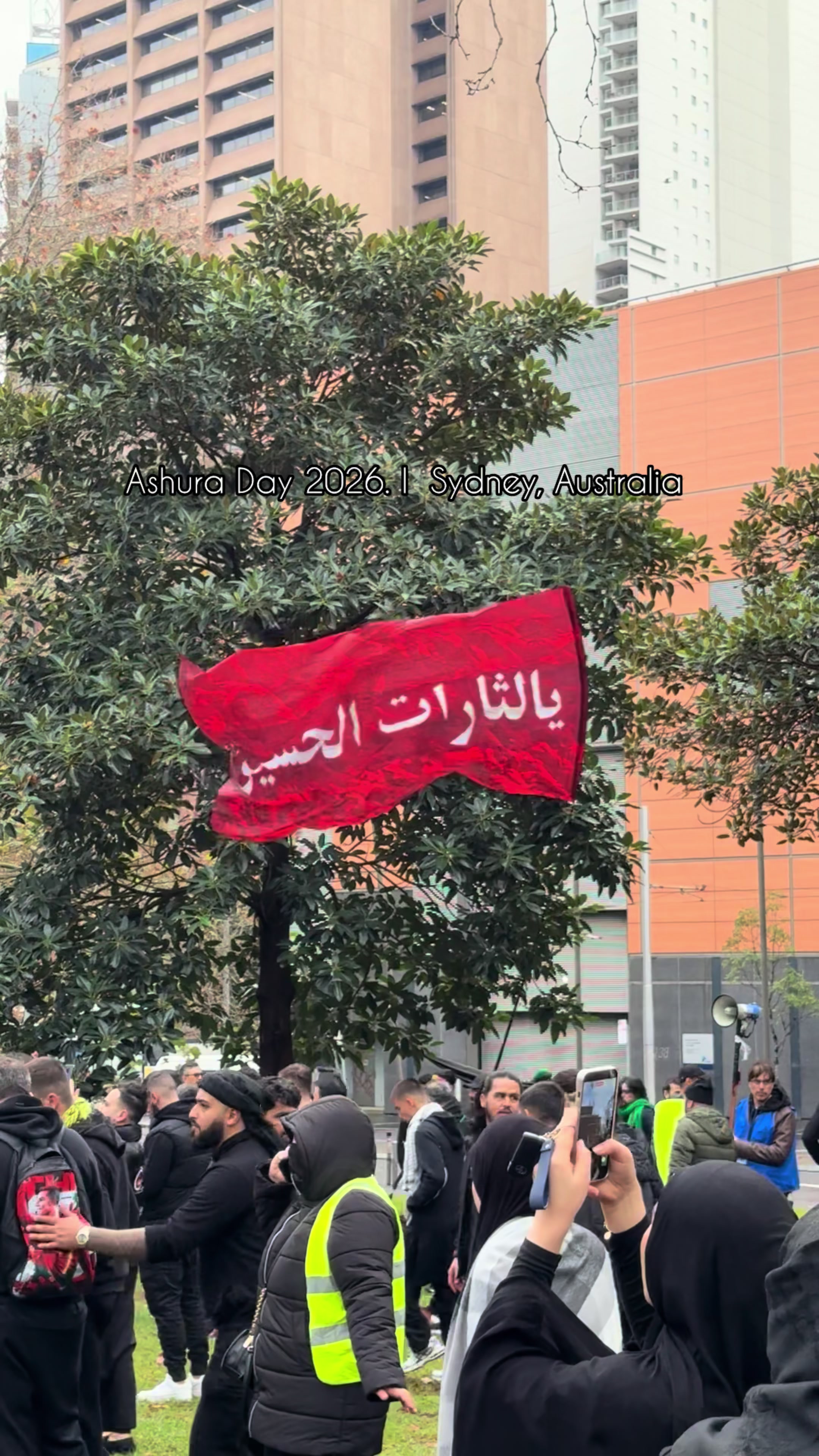 @Batoul S