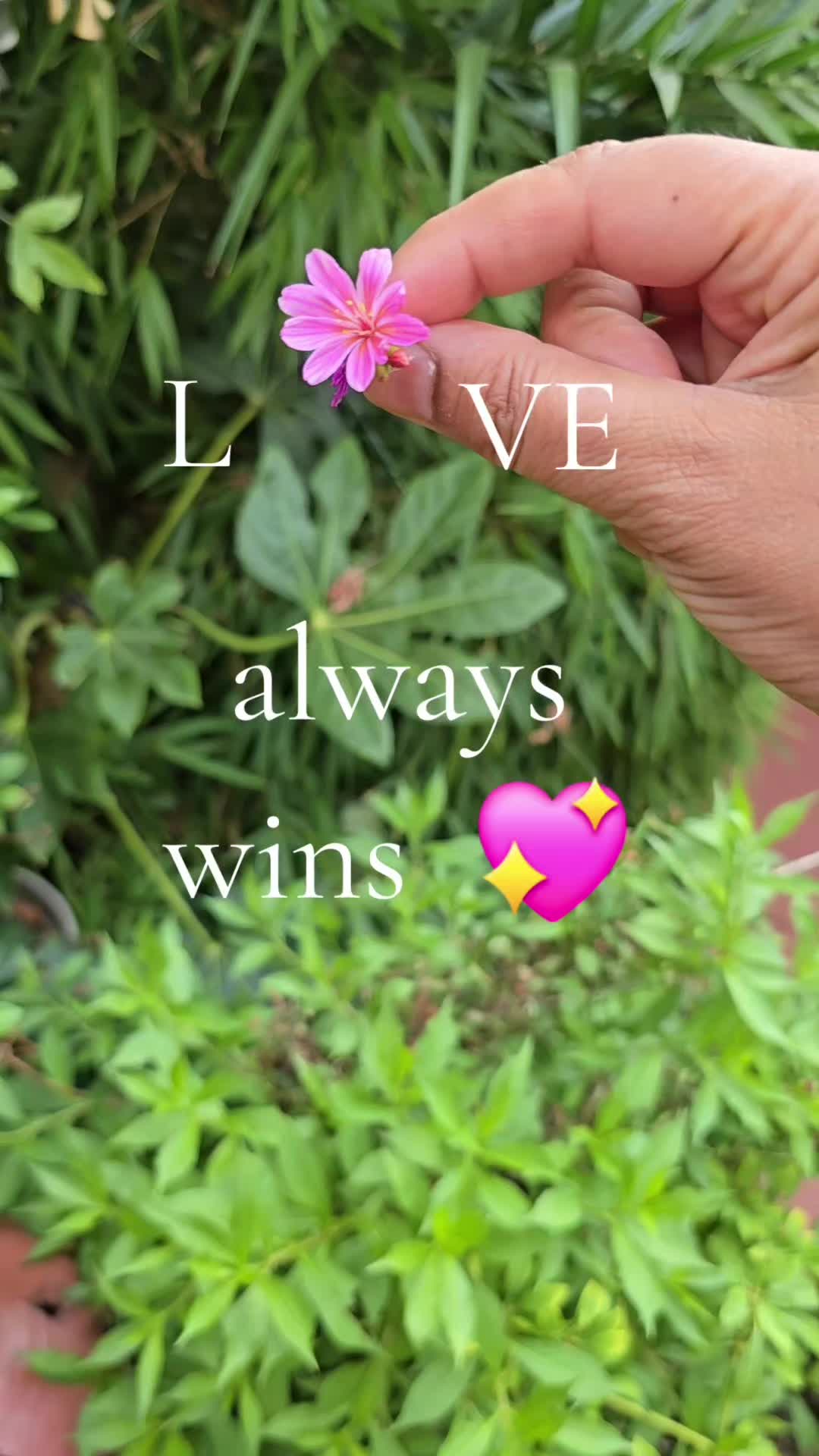 @๐โ๐๐๐๐๐
