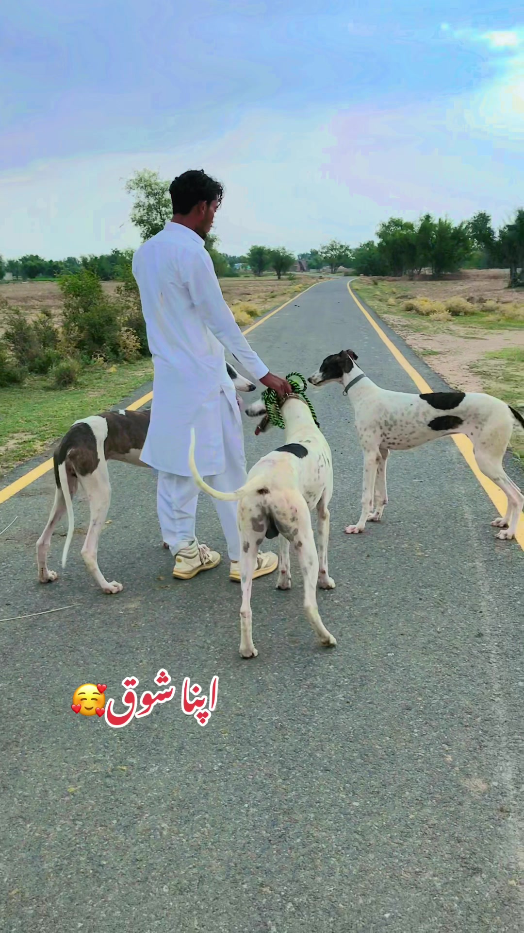 @شاہین گروپ آلہ🤟🔥F-16