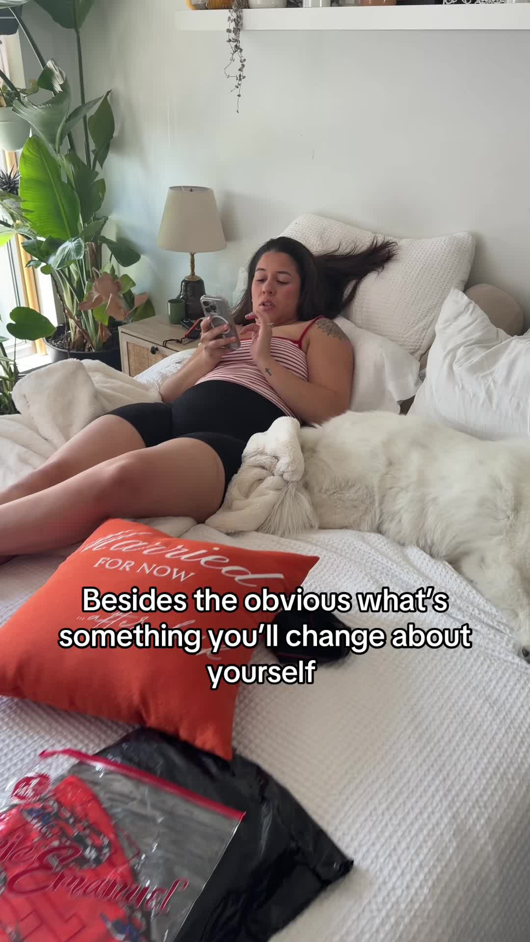 @Chicklet.HF