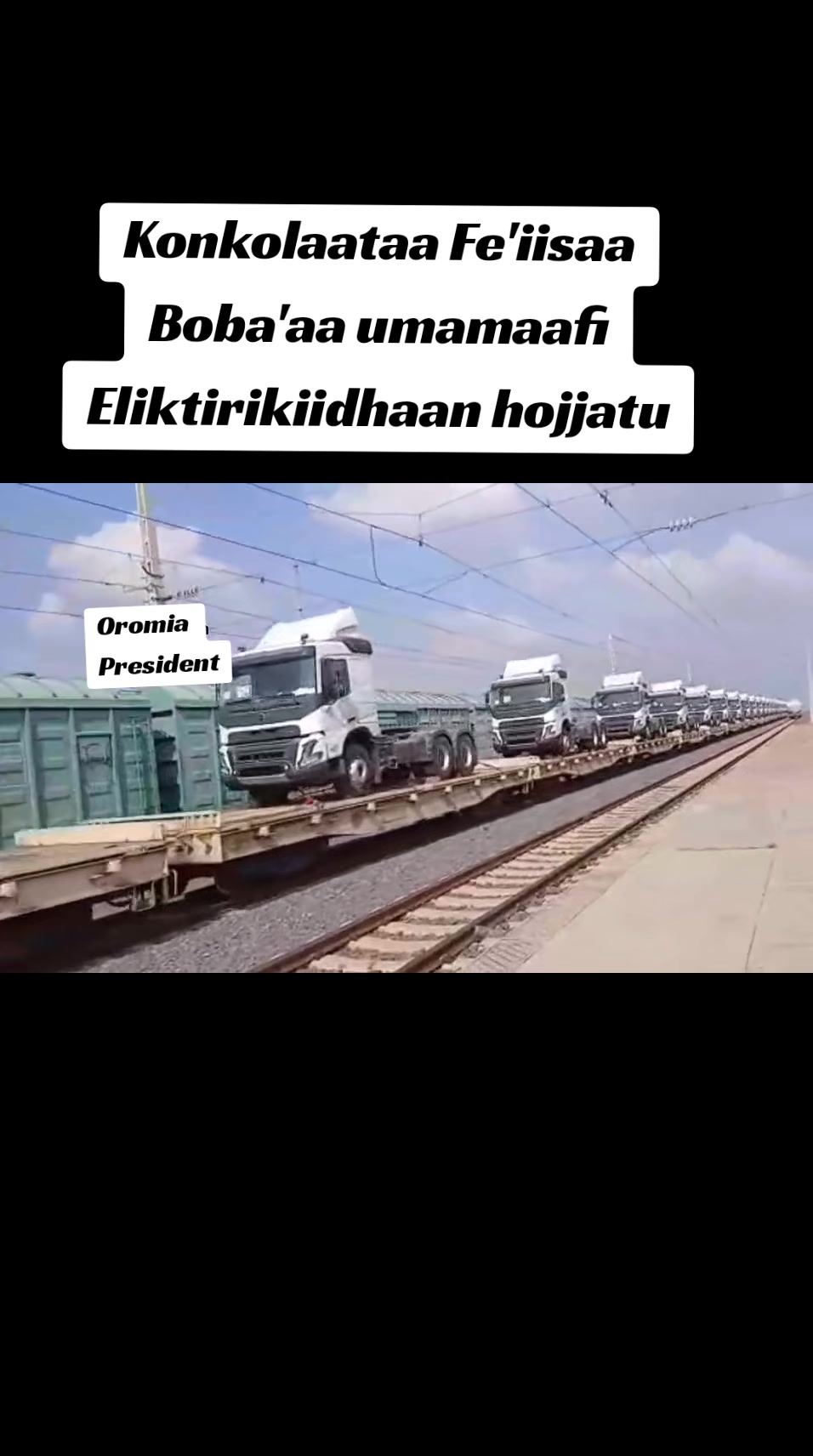 @Shimallis Abdisa Parody 🇪🇹