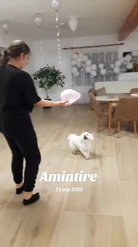 @Ciotârcă Ovidiu!