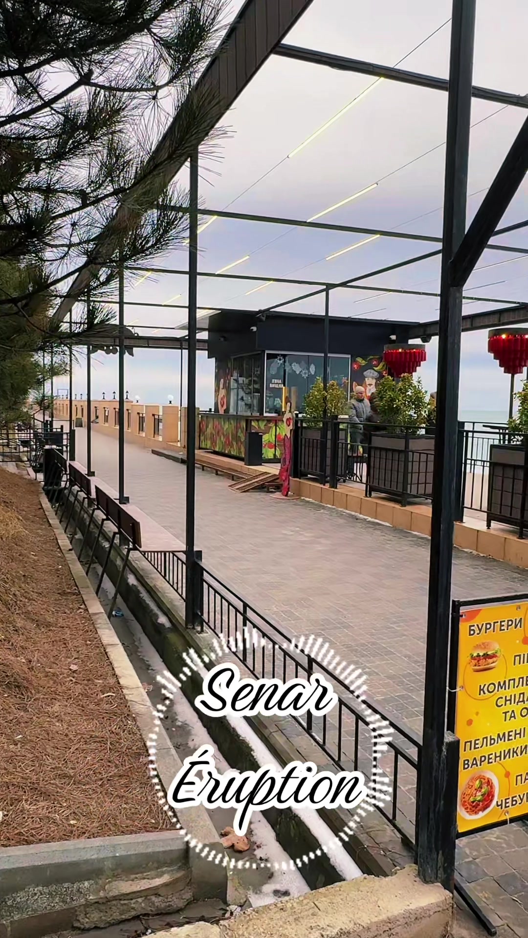 @senar_official