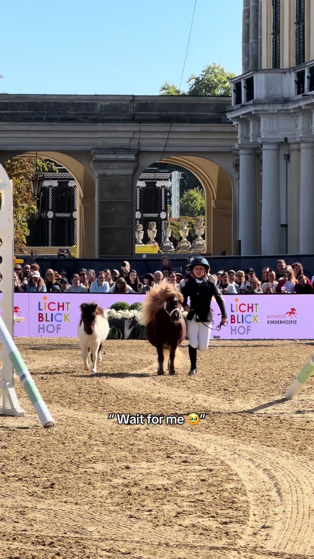 @Longines Global Champions Tour