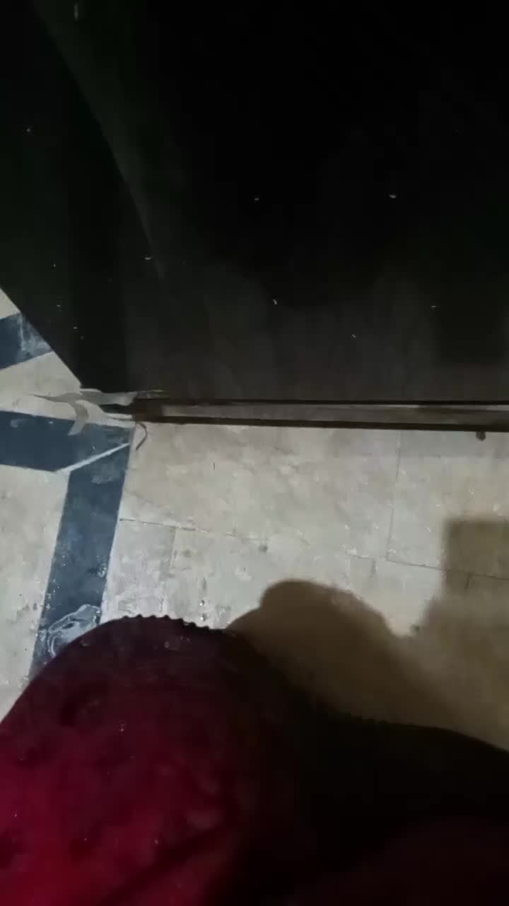 @jugnoo rajpoot 🦚