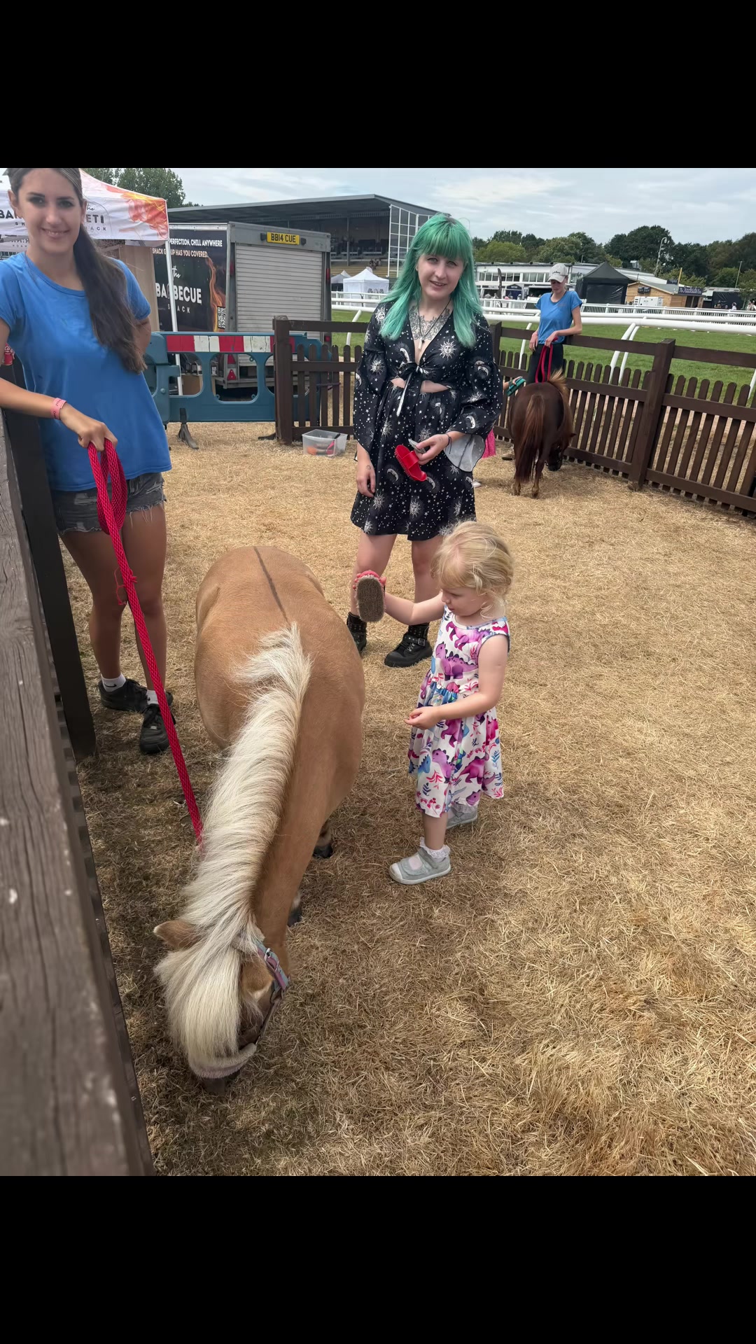@Dartmoor Carriages