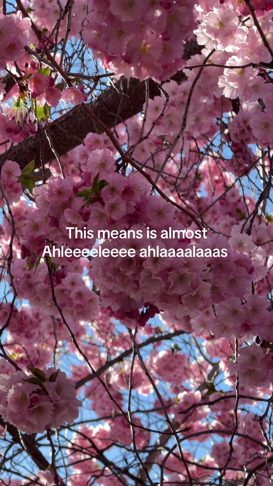 @VSGADDA